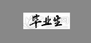 畢業(yè)生