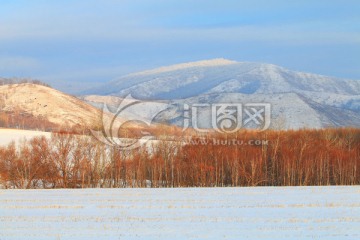 雪野山林雪景