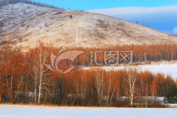 雪野山林