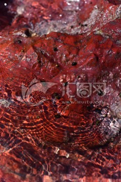 红色礁石表面