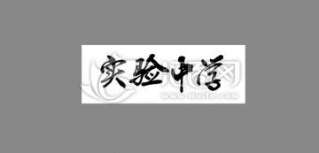 實(shí)驗(yàn)中學(xué)