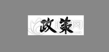 政策