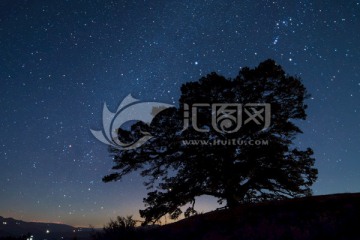 红土地神树星空夜景