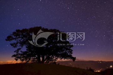 红土地神树星空夜景