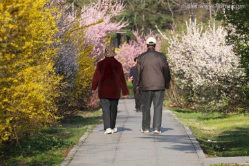 花丛中的老年伴侣