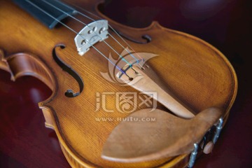 原木小提琴