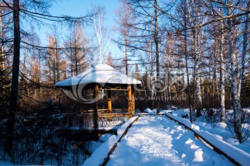 冬季雪景