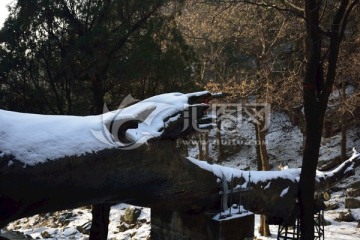 泰山冬日风光