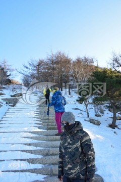 泰山雪景实拍