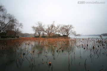 冬日明湖