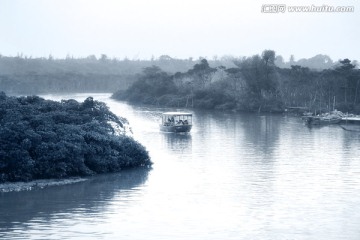 水墨山水 红树林