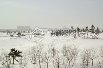 沈阳雪景 白雪覆盖的城市绿地