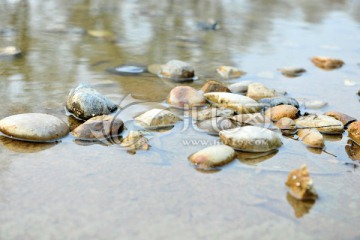 河滩石头 鹅卵石