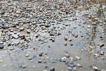 水塘 鹅卵石