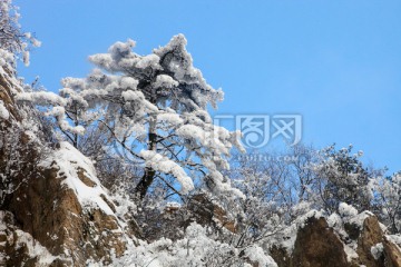 雪景