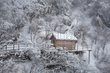 雪景