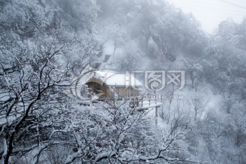 雪景