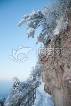 雪景