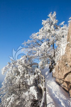 雪景