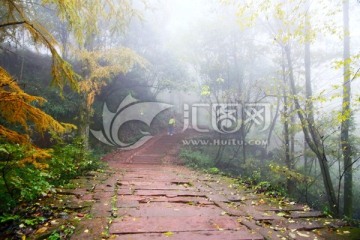 雾中山道