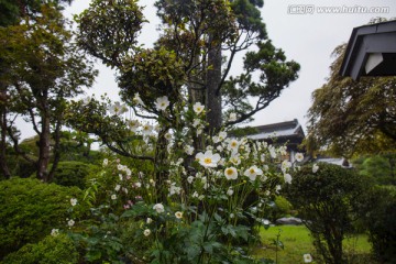 忍野八海