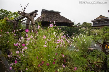 忍野八海