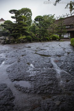 忍野八海