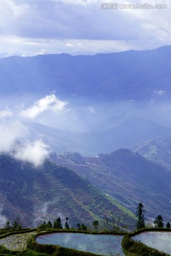 大山 梯田