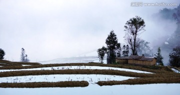 晨霧中的哈尼梯田