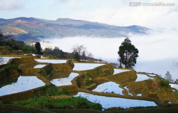 元阳梯田