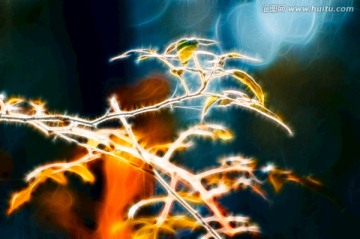 枝葉