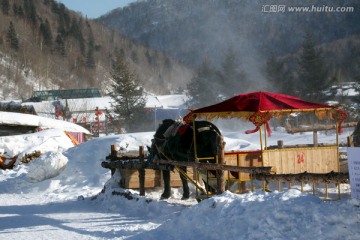 雪乡 雪景 马