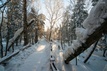 林海雪原