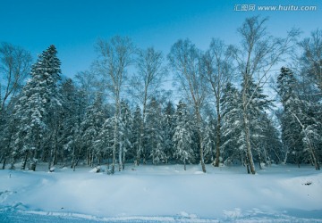 林海雪原