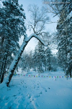 林海雪原