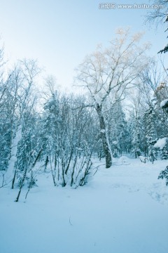 林海雪原