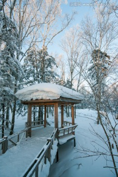 森林公园雪景