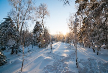 林海雪原