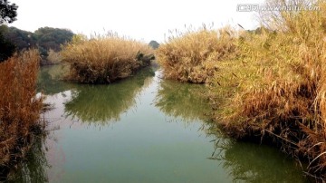 沙家浜风景区