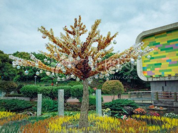 濟州島森林植物