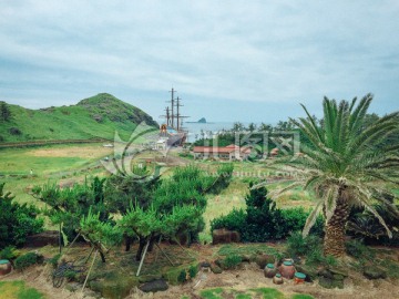 濟州島深林植被