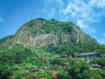 濟州島濟州島深林植被