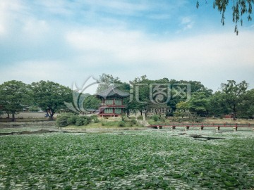 首尔景福宫街路建筑