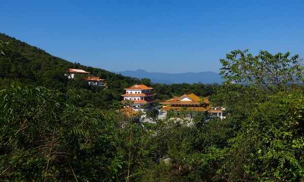 阳西 大垌山