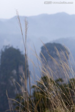 张家界 武陵源 著名景点 旅游