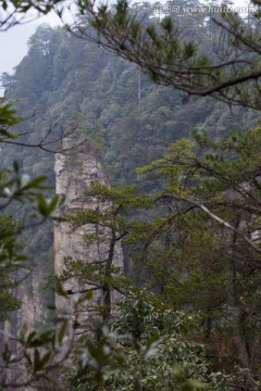 张家界 武陵源 著名景点 旅游