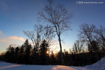 林海雪原