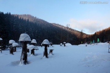 林海雪原