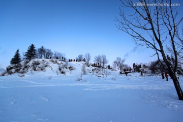 林海雪原 雪乡 树木