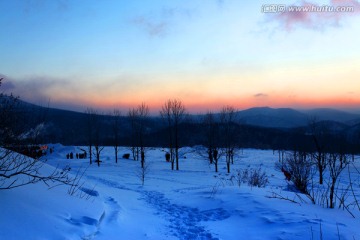 林海雪原 雪乡 日出 白雪 冬